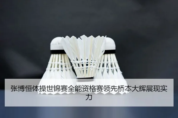 zhang-bo-heng-ti-cao-shi-jin-sai-quan-neng-zi-ge-sai-ling-xian-qiao-ben-da-hui-zhan-xian-shi-li-2-466.jpg